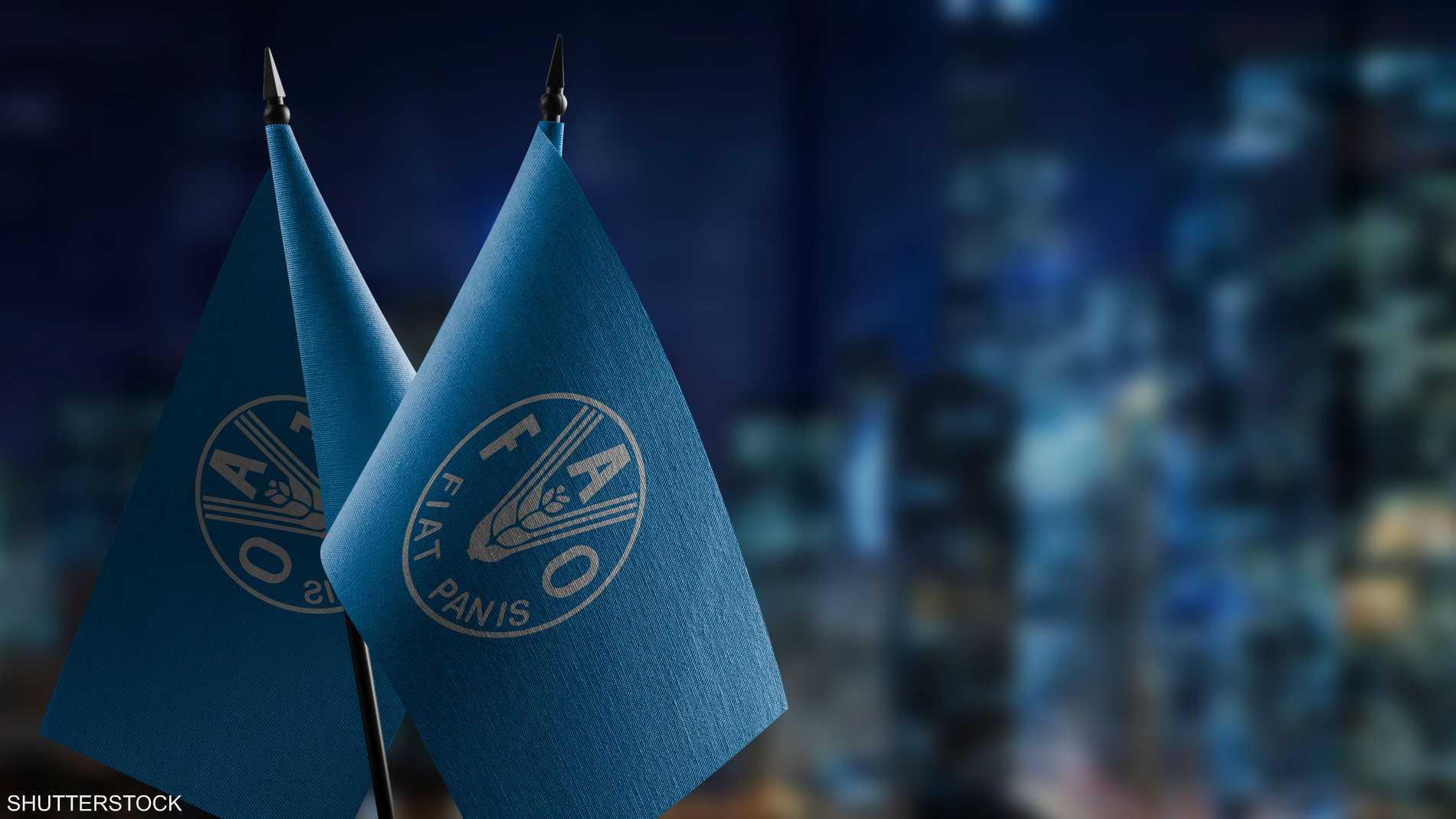 الفاو: استقرار أسعار الغذاء العالمية في مارس