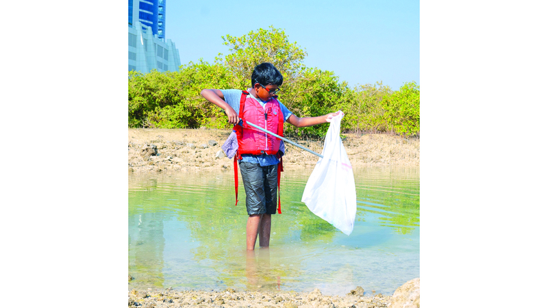 «بيئة أبوظبي» و«الإمارات للطبيعة» تطلقان الاستراتيجية الجديدة لعلم المواطنة