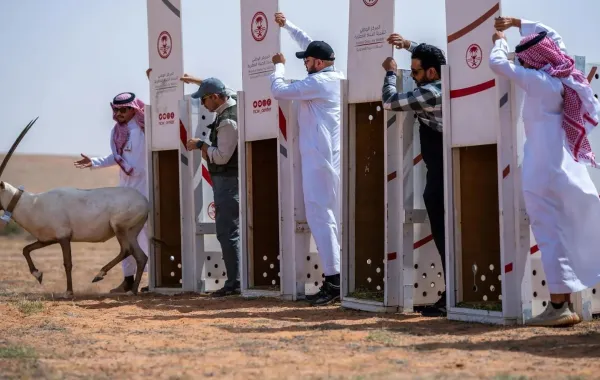 %d8%a5%d8%b7%d9%84%d8%a7%d9%82 25 %d9%83%d8%a7%d8%a6%d9%86%d9%8b%d8%a7 %d9%85%d9%87%d8%af%d8%af%d9%8b%d8%a7 %d8%a8%d8%a7%d9%84%d8%a7%d9%86%d9%82%d8%b1%d8%a7%d8%b6 %d9%81%d9%8a %d9%85%d8%ad%d9%85%d9%8a