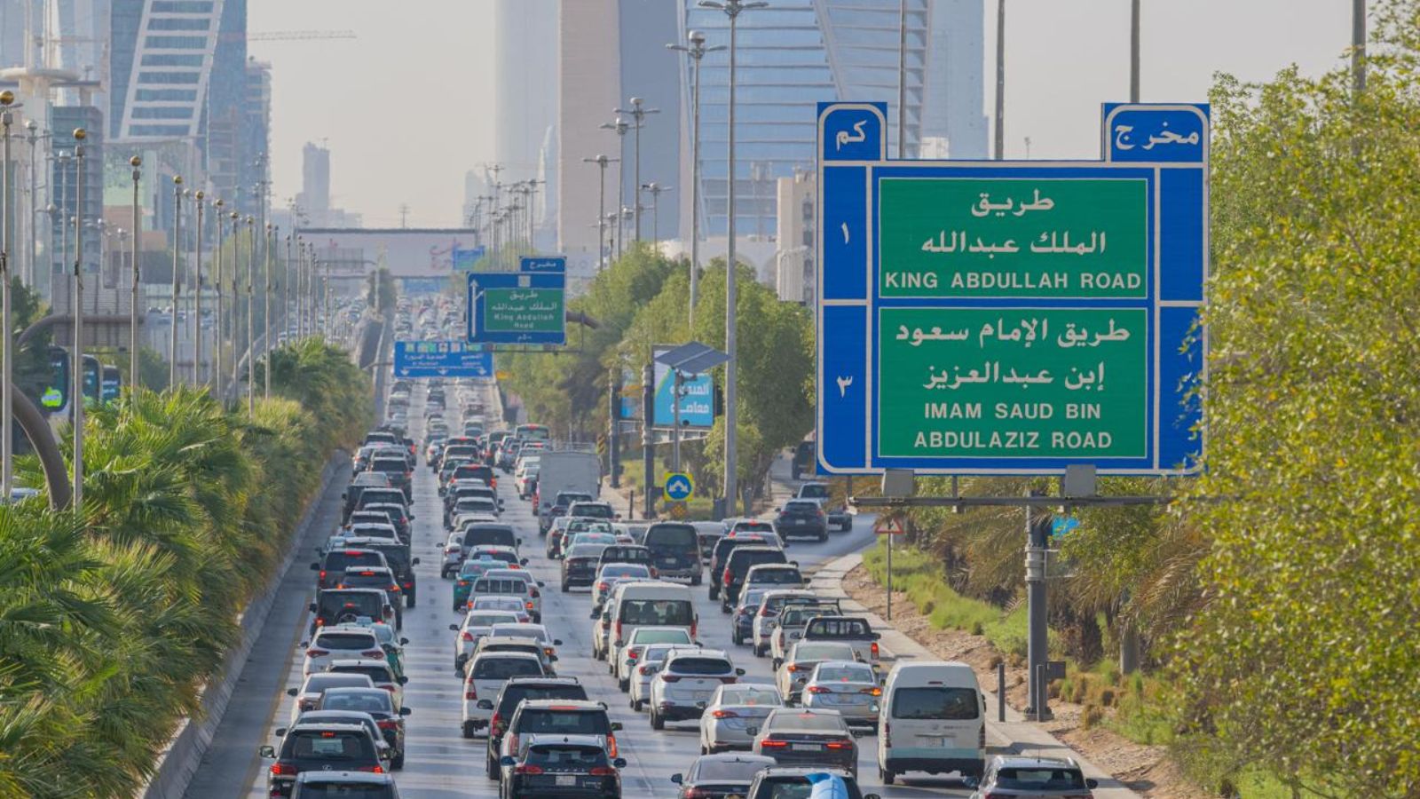 ولي العهد السعودي يوجّه بإطلاق  اسم مطلب النفيسة على أحد شوارع الرياض