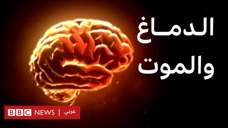 %d9%85%d8%a7%d8%b0%d8%a7 %d9%8a%d8%ad%d8%af%d8%ab %d9%81%d9%8a %d8%a3%d8%af%d9%85%d8%ba%d8%aa%d9%86%d8%a7 %d8%b9%d9%86%d8%af%d9%85%d8%a7 %d9%86%d9%85%d9%88%d8%aa%d8%9f