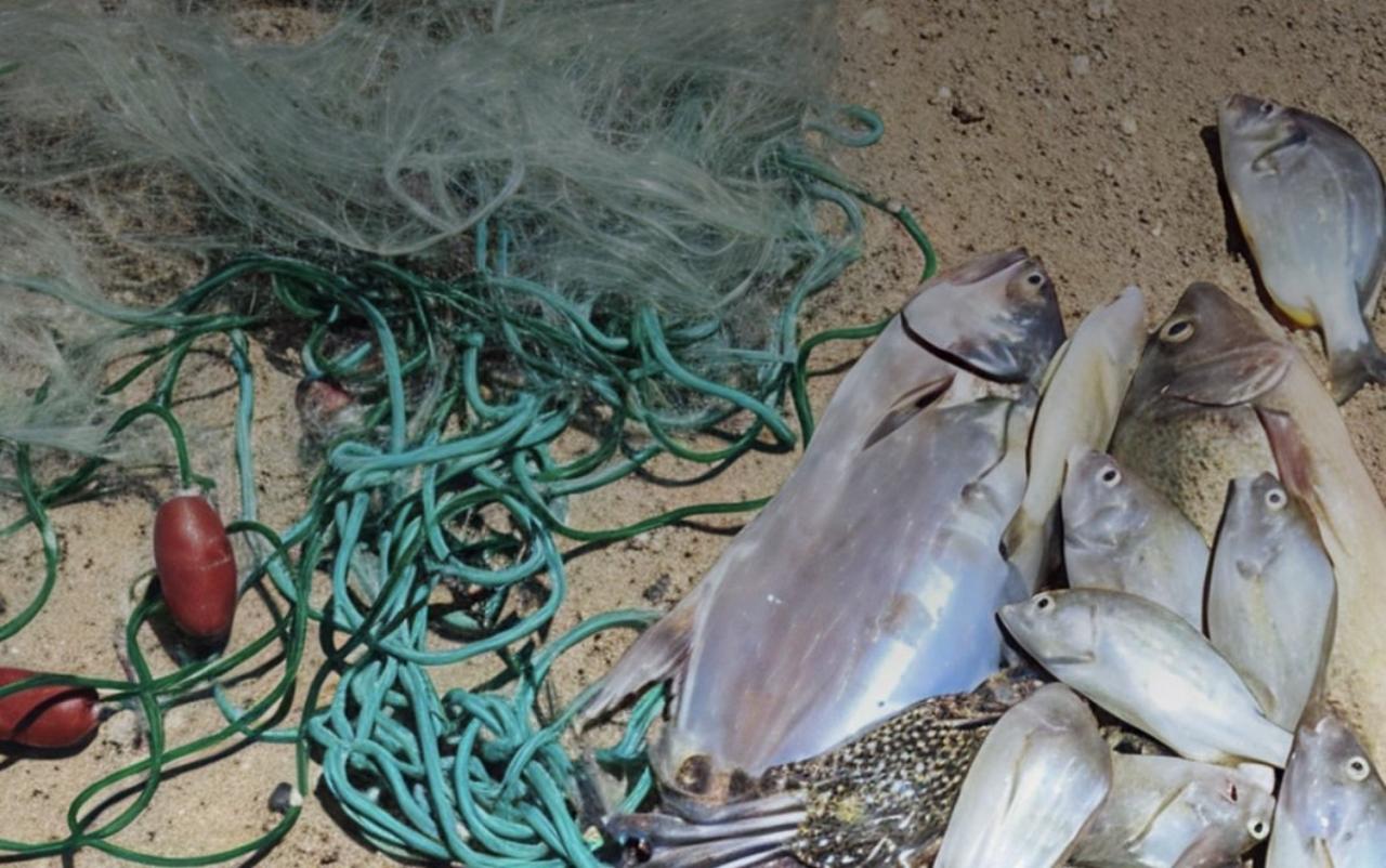 “بيئة ـ أبوظبي” تخالف صيادين يستخدمون شِبَاك صيد نايلون