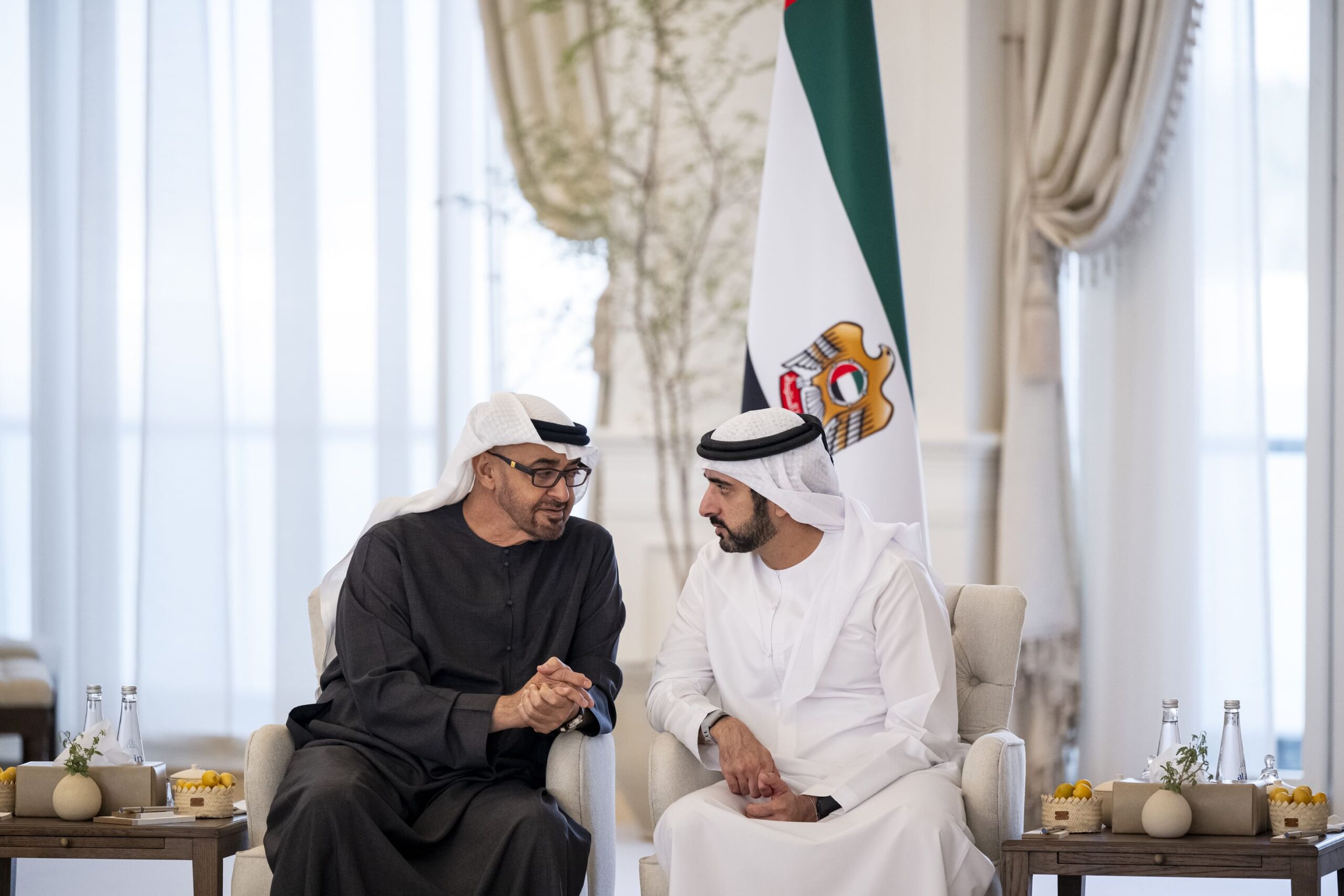 رئيس الدولة يستقبل حمدان بن محمد ومكتوم بن محمد