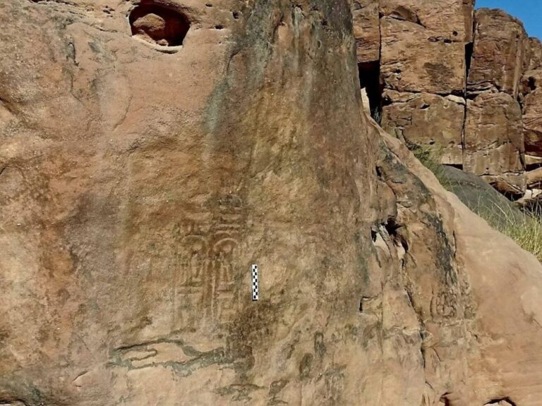 %d8%a7%d9%84%d8%a3%d8%b1%d8%af%d9%86 %d9%8a%d9%83%d8%aa%d8%b4%d9%81 %d9%83%d9%86%d8%b2%d8%a7%d9%8b %d9%81%d8%b1%d8%b9%d9%88%d9%86%d9%8a%d8%a7%d9%8b %d8%ae%d8%b1%d8%b7%d9%88%d8%b4 %d8%b1