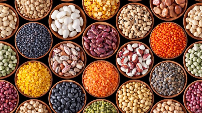 %d9%86%d9%88%d8%b9 %d9%85%d9%86 %d8%a7%d9%84%d8%b7%d8%b9%d8%a7%d9%85 %d9%8a%d9%82%d9%8a %d9%85%d9%86 %d8%a7%d9%84%d9%86%d9%88%d8%a8%d8%a7%d8%aa %d8%a7%d9%84%d9%82%d9%84%d8%a8%d9%8a%d8%a9 %d8%ac