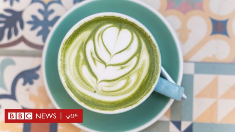 %d8%a7%d9%84%d9%85%d8%a7%d8%aa%d8%b4%d8%a7 %d9%85%d8%a7 %d9%87%d9%8a %d8%a7%d9%84%d9%81%d9%88%d8%a7%d8%a6%d8%af %d8%a7%d9%84%d8%b5%d8%ad%d9%8a%d8%a9 %d9%84%d9%87%d8%b0%d8%a7 %d8%a7%d9%84%d9%85%d8%b4