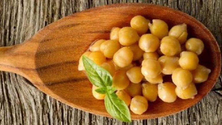 %d9%84%d9%86 %d8%aa%d8%b5%d8%af%d9%82 %d8%a3%d8%b1%d8%ae%d8%b6 %d8%a3%d9%86%d9%88%d8%a7%d8%b9 %d8%a7%d9%84%d8%a8%d9%82%d9%88%d9%84%d9%8a%d8%a7%d8%aa %d9%8a%d8%b9%d8%b2%d8%b2 %d8%b5%d8%ad%d8%a9