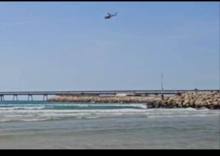 %d8%b1%d8%b9%d8%a8 %d8%b9%d9%84%d9%89 %d8%a7%d9%84%d8%b4%d8%a7%d8%b7%d8%a6 %d8%b3%d9%85%d9%83%d8%a9 %d9%82%d8%b1%d8%b4 %d8%aa%d9%81%d8%aa%d8%b1%d8%b3 %d8%ba%d9%88%d8%a7%d8%b5%d8%a7%d9%8b %d8%a5