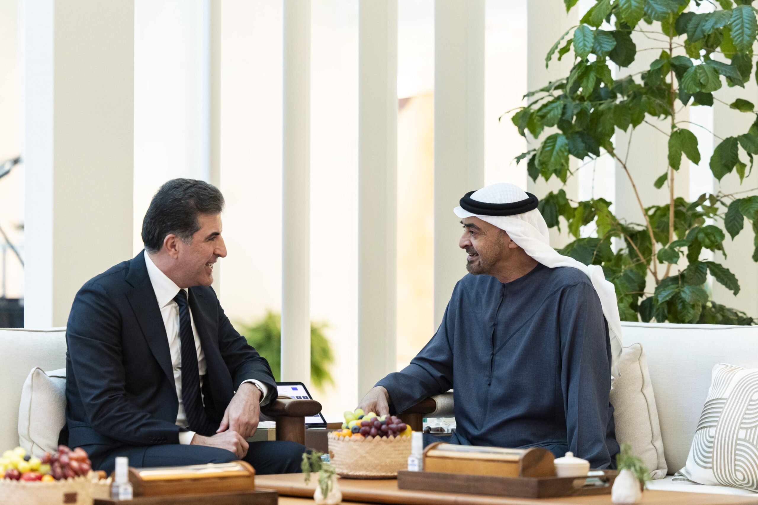 رئيس الدولة يبحث العلاقات مع رئيس إقليم كردستان العراق