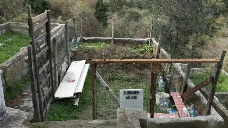 %d8%a8%d8%b3%d8%a8%d8%a8 %d8%a7%d9%84%d9%85%d9%8a%d8%b1%d8%a7%d8%ab %d8%b3%d8%b1%d9%82%d8%a9 %d8%b1%d9%81%d8%a7%d8%aa %d9%82%d8%a8%d8%b1 %d9%81%d9%8a %d8%aa%d8%b1%d9%83%d9%8a%d8%a7