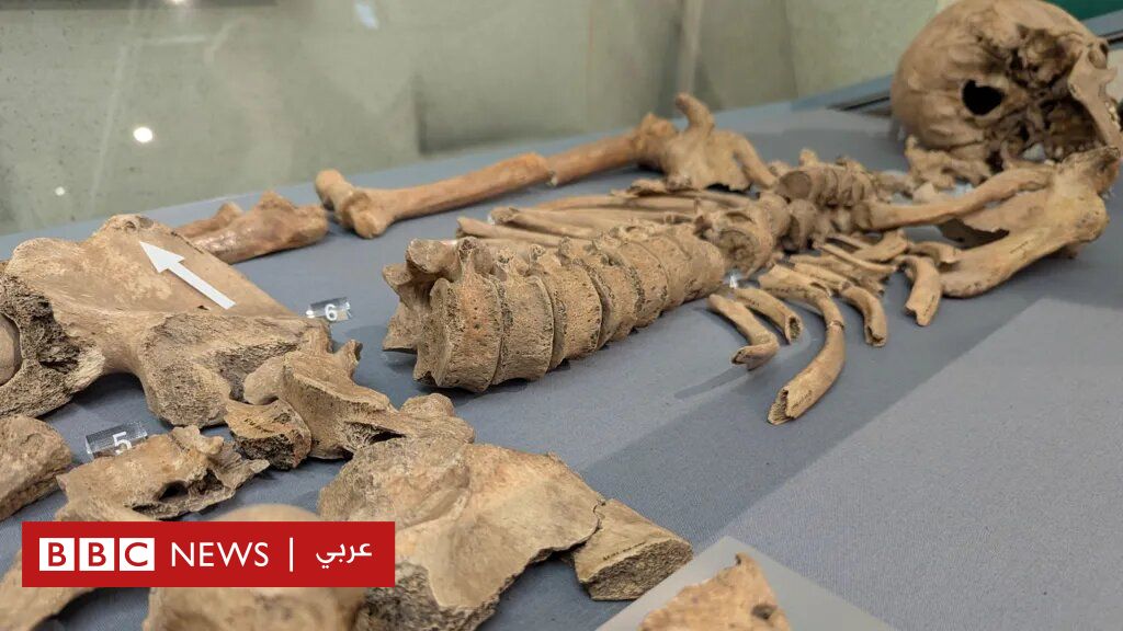 %d8%a7%d9%84%d9%85%d8%b5%d8%a7%d8%b1%d8%b9%d9%88%d9%86 %d8%a7%d9%84%d8%b1%d9%88%d9%85%d8%a7%d9%86 %d8%a7%d9%84%d8%b9%d9%84%d9%85%d8%a7%d8%a1 %d9%8a%d9%83%d8%aa%d8%b4%d9%81%d9%88%d9%86 %d8%a3%d9%88