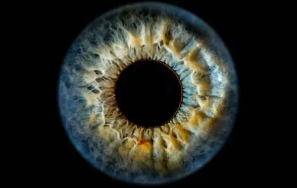 %d9%84%d9%85 %d9%8a%d8%b1%d9%87 %d8%a3%d8%ad%d8%af %d9%85%d9%86 %d9%82%d8%a8%d9%84 %d8%a7%d9%83%d8%aa%d8%b4%d8%a7%d9%81 %d9%84%d9%88%d9%86 %d8%ac%d8%af%d9%8a%d8%af %d9%8a%d8%ab%d9%8a%d8%b1 %d8%a7