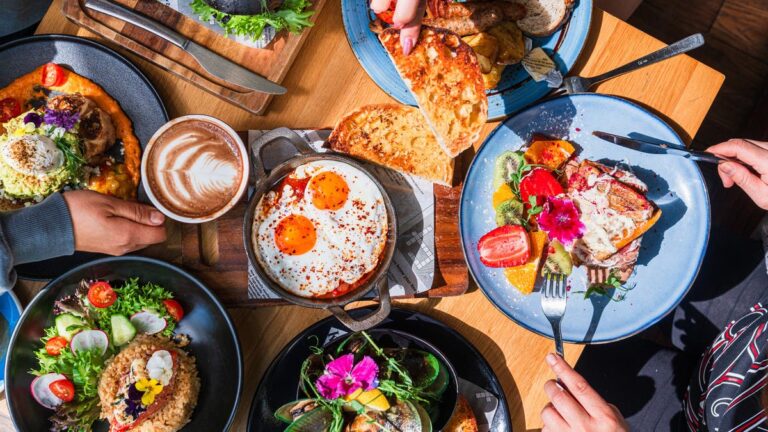 %d8%a3%d9%88%d9%84 %d8%af%d8%b1%d8%a7%d8%b3%d8%a9 %d9%85%d9%86 %d9%86%d9%88%d8%b9%d9%87%d8%a7 %d8%b9%d9%84%d9%89 %d8%a7%d9%84%d8%a8%d8%b4%d8%b1 %d8%a7%d9%84%d9%88%d8%ac%d8%a8%d8%a7%d8%aa %d8%a7%d9%84