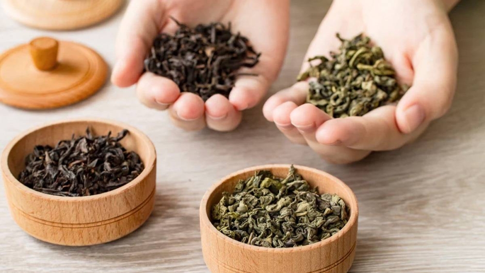 %d9%81%d9%8a %d8%a7%d9%84%d9%8a%d9%88%d9%85 %d8%a7%d9%84%d8%b9%d8%a7%d9%84%d9%85%d9%8a %d9%84%d9%84%d8%b4%d8%a7%d9%8a %d8%a3%d9%8a%d9%87%d9%85%d8%a7 %d8%a3%d9%81%d8%b6%d9%84 %d9%84%d8%b5%d8%ad%d8%aa