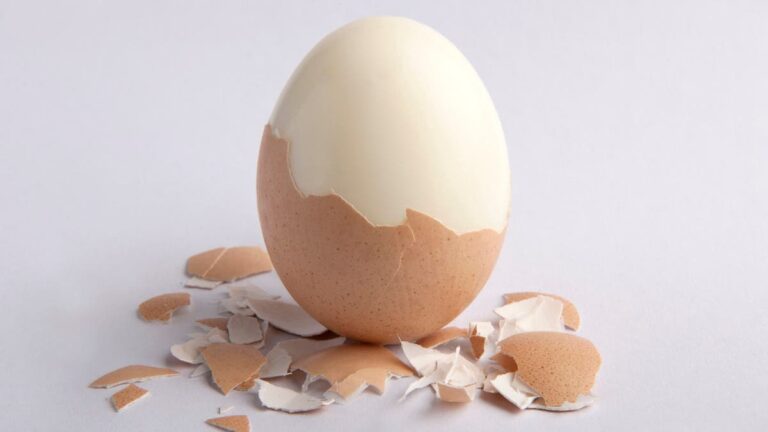 %d8%a8%d9%84%d8%a7 %d8%aa%d8%b4%d9%88%d9%87%d8%a7%d8%aa 3 %d8%ae%d8%b7%d9%88%d8%a7%d8%aa %d8%b3%d8%ad%d8%b1%d9%8a%d8%a9 %d9%84%d8%aa%d9%82%d8%b4%d9%8a%d8%b1 %d8%a7%d9%84%d8%a8%d9%8a%d8%b6 %d8%a7