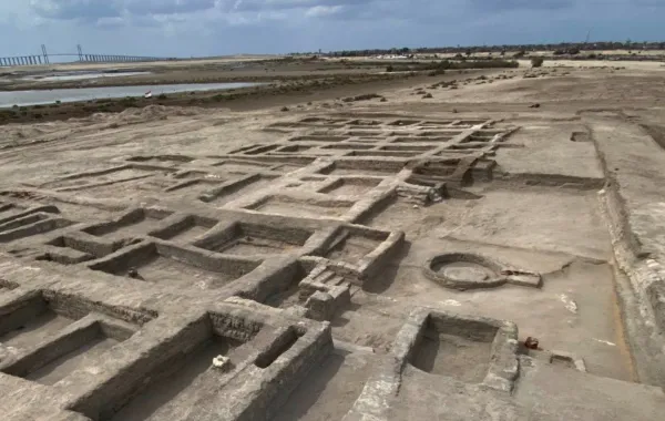 %d8%a7%d9%83%d8%aa%d8%b4%d8%a7%d9%81 %d8%a3%d8%ab%d8%b1%d9%8a %d8%ac%d8%af%d9%8a%d8%af %d9%81%d9%8a %d8%b3%d9%8a%d9%86%d8%a7%d8%a1 %d8%a8%d9%85%d8%b5%d8%b1 %d9%8a%d8%b8%d9%87%d8%b1 %d8%a3%d8%b3%d8%b1