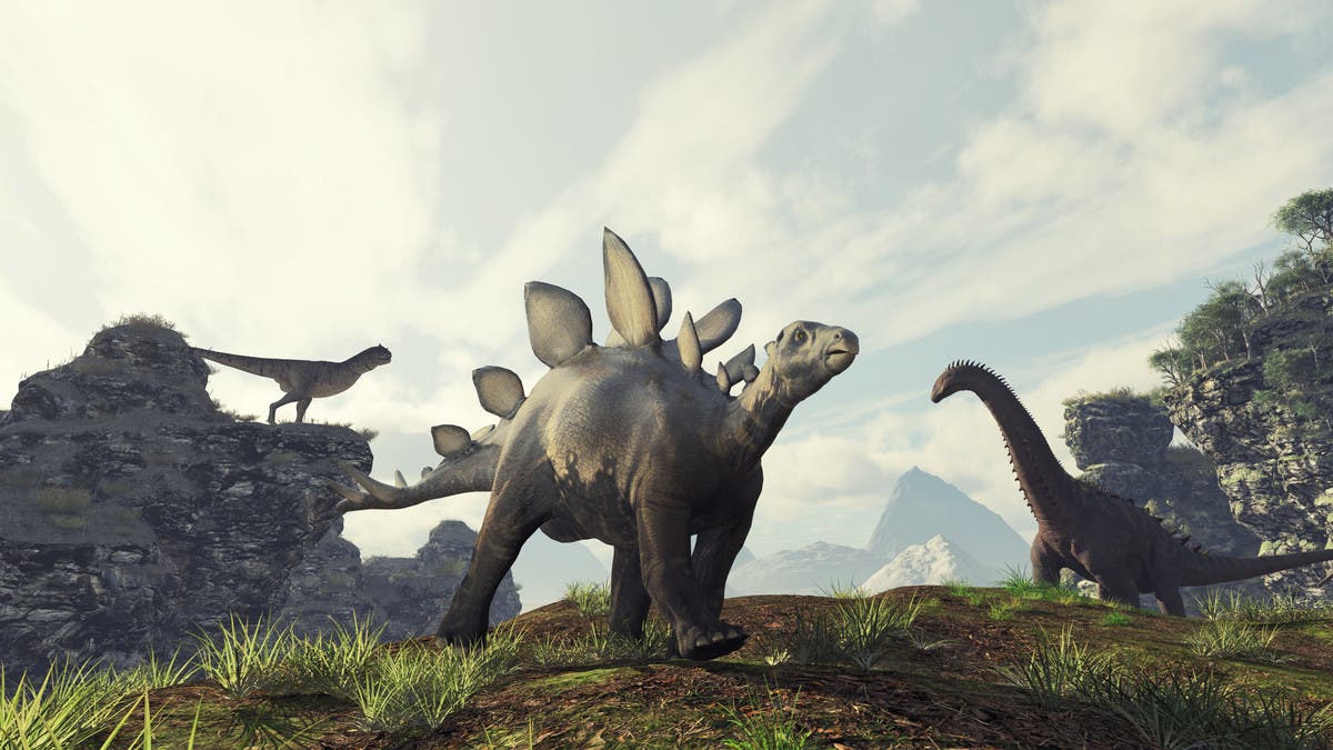 %d8%b9%d9%84%d9%85%d8%a7%d8%a1 %d8%a7%d9%84%d8%af%d9%8a%d9%86%d8%a7%d8%b5%d9%88%d8%b1%d8%a7%d8%aa %d9%82%d8%af %d8%aa%d8%b4%d9%83%d9%84 %d8%a3%d8%b3%d8%a7%d8%b3 %d8%a7%d9%83%d8%aa%d8%b4%d8%a7%d9%81