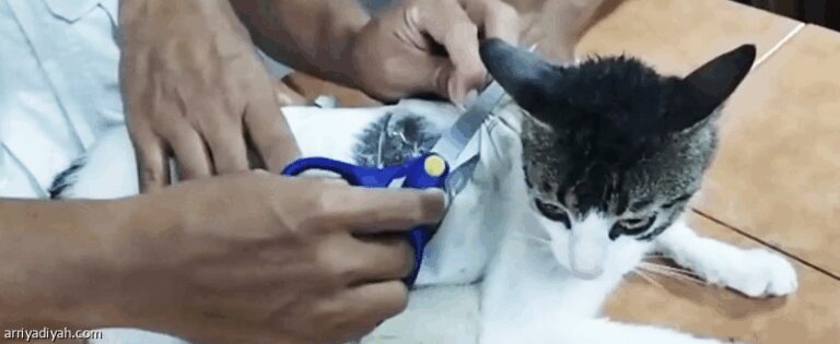 %d8%a7%d9%84%d9%82%d8%a8%d8%b6 %d8%b9%d9%84%d9%89 %d9%82%d8%b7%d8%a9 %d8%aa%d9%87%d8%b1%d8%a8 %d8%a7%d9%84%d9%85%d8%ae%d8%af%d8%b1%d8%a7%d8%aa %d8%a5%d9%84%d9%89 %d8%a7%d9%84%d8%b3%d8%ac%d9%86