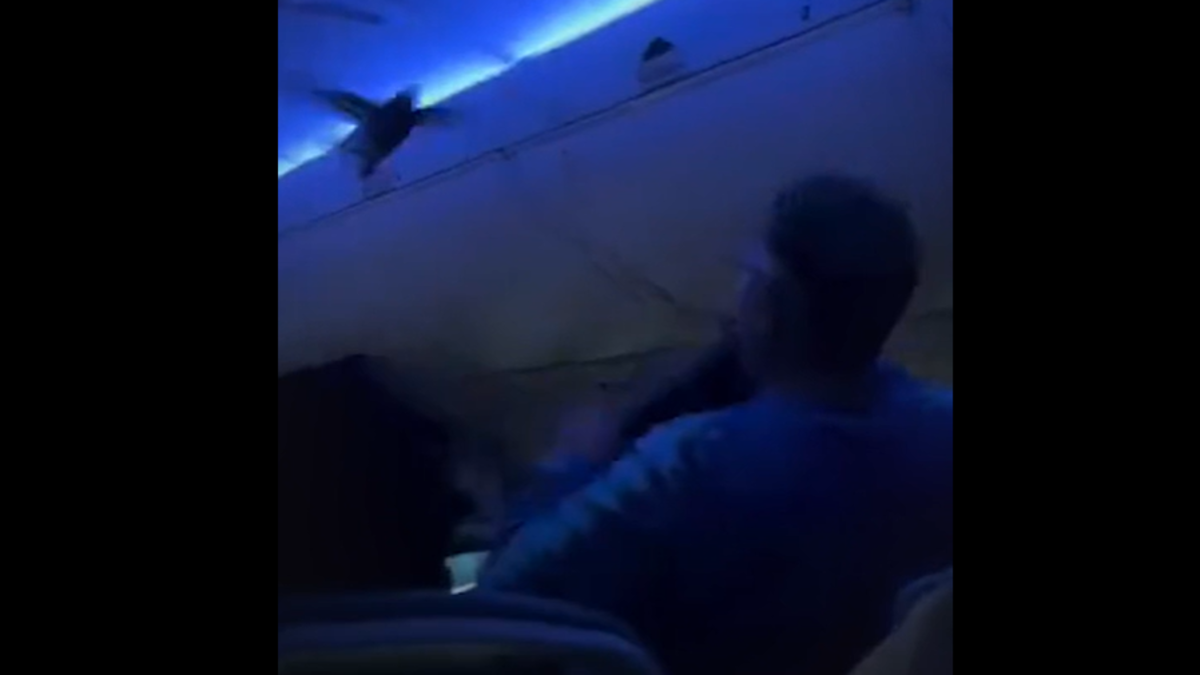 %d9%81%d9%8a%d8%af%d9%8a%d9%88 %d8%ad%d9%85%d8%a7%d9%85%d8%aa%d8%a7%d9%86 %d8%aa%d9%82%d8%aa%d8%ad%d9%85%d8%a7%d9%86 %d8%b7%d8%a7%d8%a6%d8%b1%d8%a9 %d9%88%d8%aa%d8%aa%d8%b3%d8%a8%d8%a8%d8%a7%d9%86