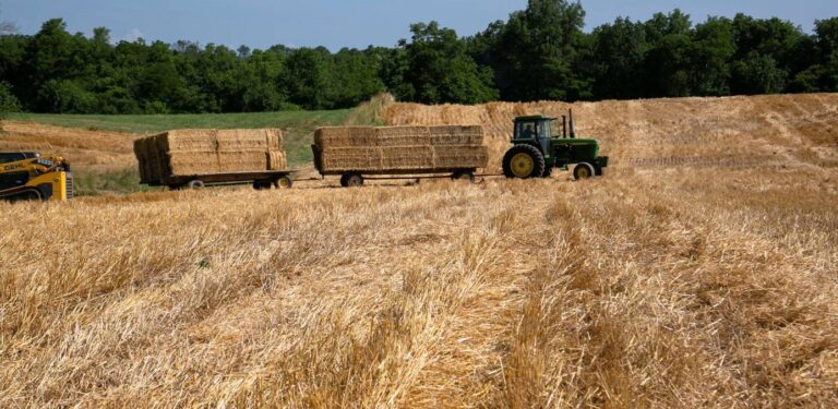 %d9%81%d8%a7%d9%88 %d8%b2%d9%8a%d8%a7%d8%af%d8%a9 %d8%a3%d8%b3%d8%b9%d8%a7%d8%b1 %d8%a7%d9%84%d8%ba%d8%b0%d8%a7%d8%a1 %d8%a7%d9%84%d8%b9%d8%a7%d9%84%d9%85%d9%8a%d8%a9 %d9%81%d9%8a %d8%a3%d8%a8