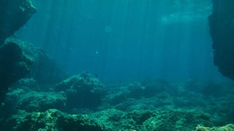 %d8%ad%d9%8a%d9%91%d8%b1%d8%aa %d8%a7%d9%84%d8%b9%d9%84%d9%85%d8%a7%d8%a1 %d8%ac%d9%85%d8%ac%d9%85%d8%a9 %d9%85%d8%af%d9%81%d9%88%d9%86%d8%a9 %d9%85%d9%86%d8%b0 140 %d8%a3%d9%84%d9%81 %d8%b9%d8%a7