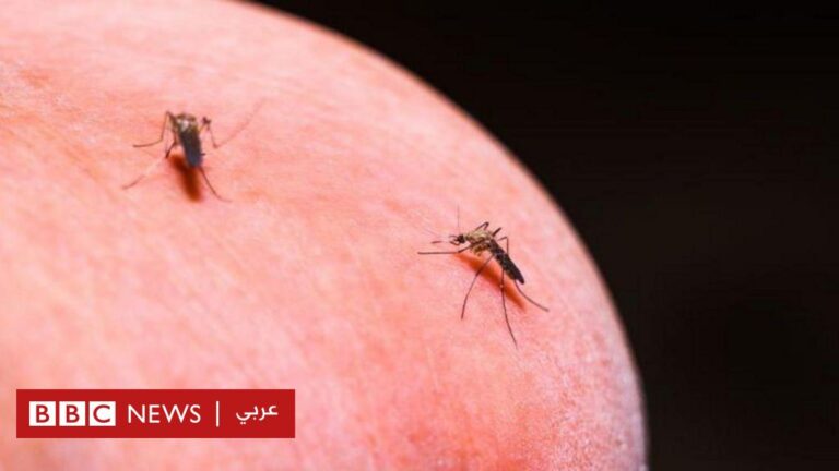 %d8%b9%d9%84%d8%a7%d8%ac %d8%a7%d9%84%d8%a8%d8%b9%d9%88%d8%b6 %d9%85%d9%86 %d8%a7%d9%84%d9%85%d9%84%d8%a7%d8%b1%d9%8a%d8%a7 %d8%a8%d8%af%d9%84%d8%a7%d9%8b %d9%85%d9%86 %d9%82%d8%aa%d9%84%d9%87 %d9%85