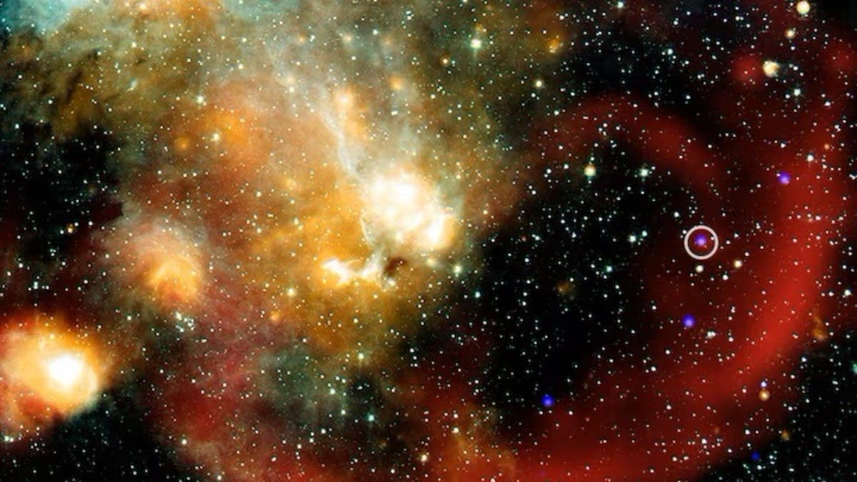 %d8%b9%d9%84%d9%85%d8%a7%d8%a1 %d9%81%d9%84%d9%83 %d9%8a%d8%b1%d8%b5%d8%af%d9%88%d9%86 %d9%86%d8%ac%d9%85%d8%a7%d9%8b %d9%81%d8%b1%d9%8a%d8%af%d8%a7%d9%8b %d9%8a%d8%ae%d8%aa%d9%84%d9%81 %d8%b3%d9%84