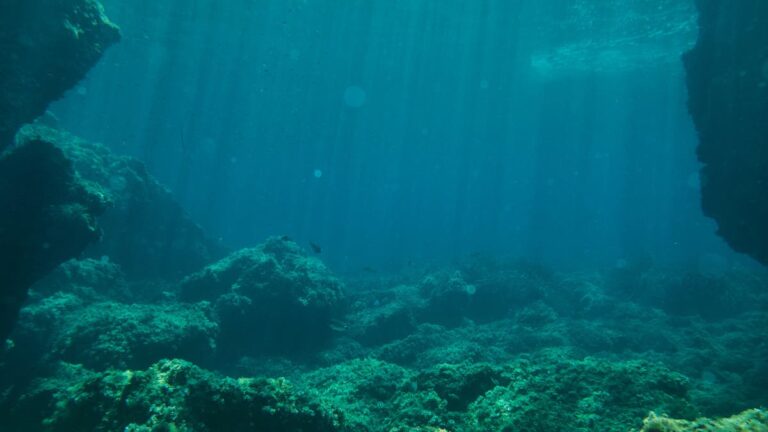 %d8%ac%d9%85%d8%ac%d9%85%d8%a9 %d9%85%d8%af%d9%81%d9%88%d9%86%d8%a9 %d9%85%d9%86%d8%b0 140 %d8%a3%d9%84%d9%81 %d8%b9%d8%a7%d9%85 %d8%a8%d9%82%d8%a7%d8%b9 %d8%a7%d9%84%d9%85%d8%ad%d9%8a%d8%b7 %d8%aa