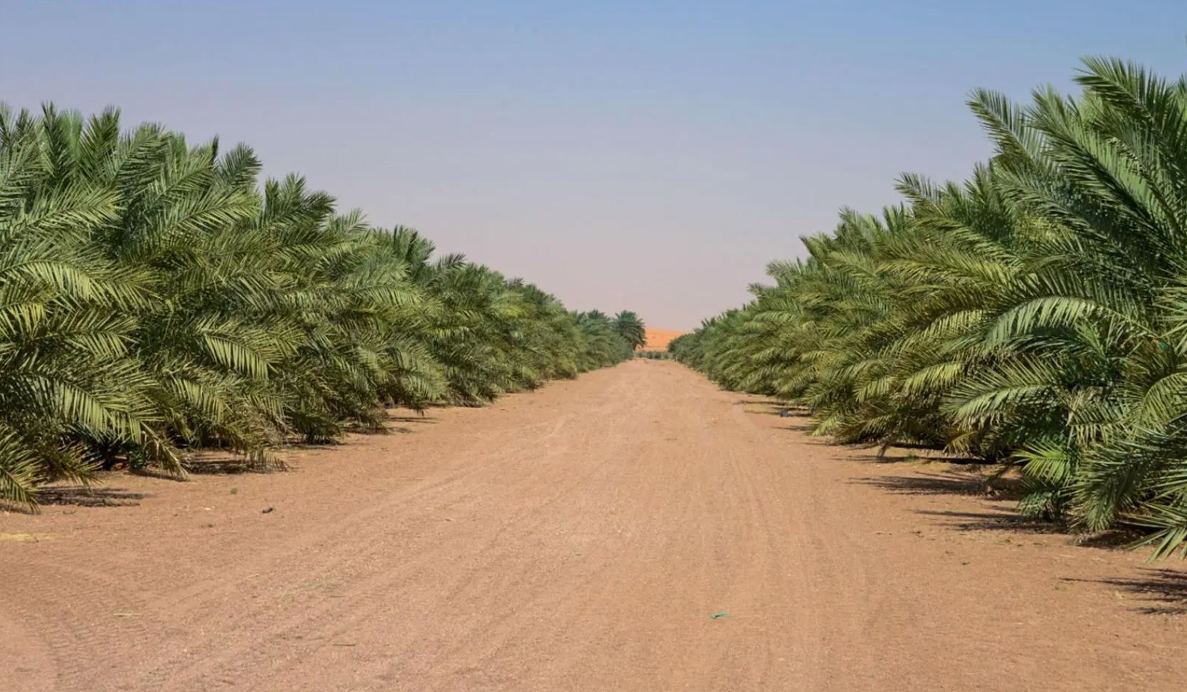 %d9%81%d8%b1%d8%b5 %d8%a7%d8%b3%d8%aa%d8%ab%d9%85%d8%a7%d8%b1%d9%8a%d8%a9 %d8%b9%d9%84%d9%89 %d9%85%d8%b3%d8%a7%d8%ad%d8%a9 143 %d9%85%d9%84%d9%8a%d9%88%d9%86 %d9%85%d8%aa%d8%b1 %d9%85%d8%b1%d8%a8