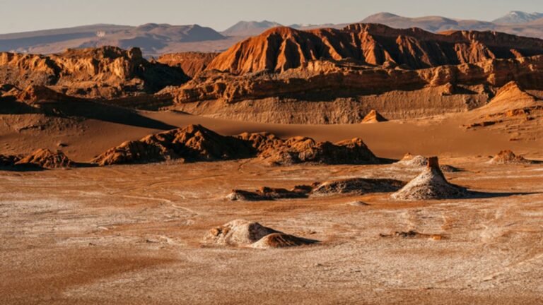 %d8%b1%d8%a7%d8%a6%d8%af %d9%81%d8%b6%d8%a7%d8%a1 %d9%8a%d8%b1%d8%ac%d8%ad %d9%87%d8%a8%d9%88%d8%b7 %d8%a7%d9%84%d8%a5%d9%86%d8%b3%d8%a7%d9%86 %d8%b9%d9%84%d9%89 %d8%b3%d8%b7%d8%ad %d8%a7%d9%84%d9%85