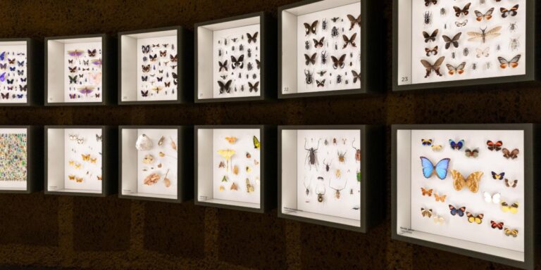 %d8%ba%d9%8a%d8%b1%d9%84%d8%a7%d9%86 %d8%aa%d8%ad%d8%aa%d9%81%d9%84 %d8%a8%d9%8a%d9%88%d9%85 %d8%a7%d9%84%d9%86%d8%ad%d9%84%d8%a9 %d8%a7%d9%84%d8%b9%d8%a7%d9%84%d9%85%d9%8a 2025 %d8%b4%d8%b1%d8%a7