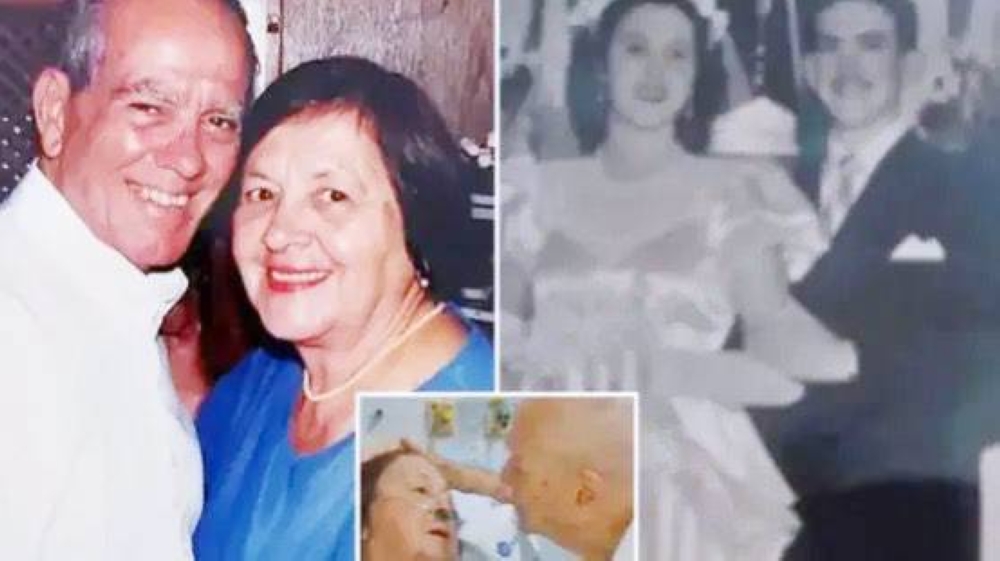 %d9%85%d9%86 %d8%a7%d9%84%d8%ad%d8%a8 %d9%85%d8%a7 %d9%82%d8%aa%d9%84 %d9%85%d8%a7%d8%aa%d8%aa %d8%b2%d9%88%d8%ac%d8%aa%d9%87 %d9%81%d9%84%d8%ad%d9%82 %d8%a8%d9%87%d8%a7 %d8%a8%d8%b9%d8%af %d8%b3