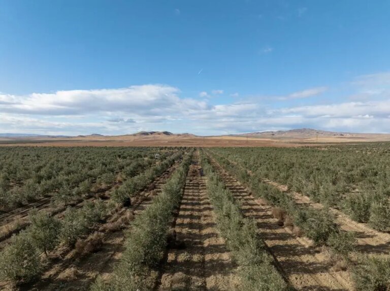 %d9%85%d9%86 %d8%a7%d9%84%d8%a3%d8%b4%d8%ac%d8%a7%d8%b1 %d8%a5%d9%84%d9%89 %d8%a7%d9%84%d8%b1%d9%85%d9%88%d8%b2 %d8%a7%d9%84%d8%b1%d9%82%d9%85%d9%8a%d9%91%d8%a9 %d9%86%d9%85%d9%88%d8%b0%d8%ac %d8%ac