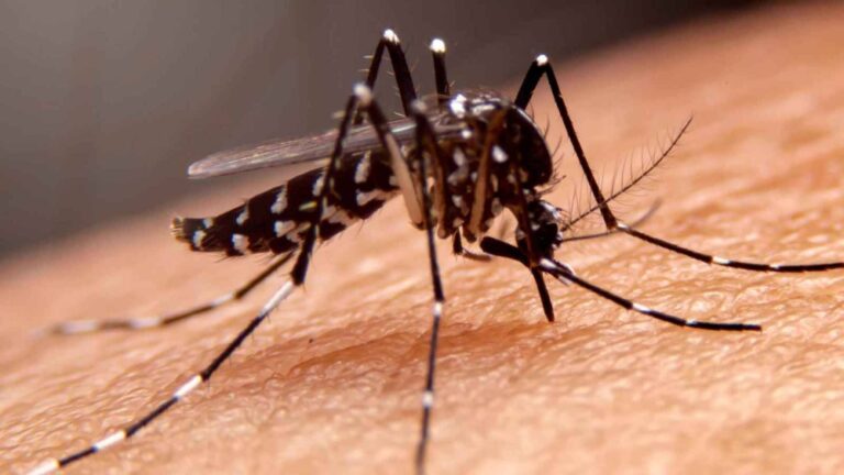 %d8%a8%d8%b1%d9%8a%d8%b7%d8%a7%d9%86%d9%8a%d8%a7 %d8%aa%d8%b1%d8%b5%d8%af %d9%81%d9%8a%d8%b1%d9%88%d8%b3 %d8%ba%d8%b1%d8%a8 %d8%a7%d9%84%d9%86%d9%8a%d9%84 %d9%81%d9%8a %d8%a8%d8%b9%d9%88%d8%b6