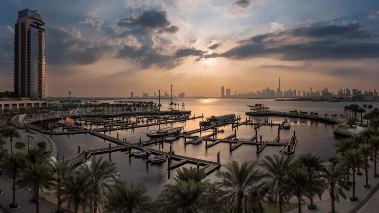 %d8%a5%d8%b9%d9%85%d8%a7%d8%b1 %d9%84%d9%84%d8%aa%d8%b7%d9%88%d9%8a%d8%b1 %d8%aa%d8%b3%d8%ac%d9%84 %d9%86%d9%85%d9%88%d8%a7%d9%8b %d8%a8%d9%86%d8%b3%d8%a8%d8%a9 28 %d9%81%d9%8a %d8%a7%d9%84%d9%85