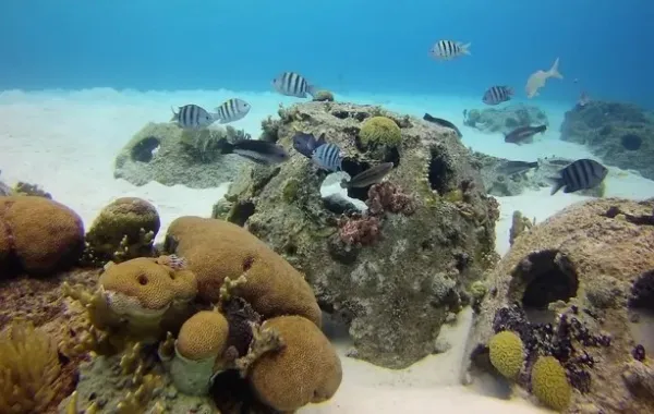 %d8%a8%d9%8a%d8%a6%d8%a9 %d8%a3%d8%a8%d9%88%d8%b8%d8%a8%d9%8a %d8%aa%d8%b7%d9%84%d9%82 %d9%85%d8%a8%d8%a7%d8%af%d8%b1%d8%a9 %d8%ad%d8%af%d8%a7%d8%a6%d9%82 %d8%a3%d8%a8%d9%88%d8%b8%d8%a8%d9%8a %d8%a7