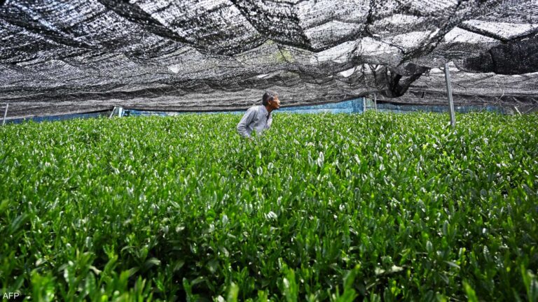 %d9%84%d9%85%d8%a7%d8%b0%d8%a7 %d8%aa%d8%ad%d9%88%d9%84 %d8%ac%d9%86%d9%88%d9%86 %d8%a7%d9%84%d8%b7%d9%84%d8%a8 %d8%b9%d9%84%d9%89 %d8%a7%d9%84%d9%85%d8%a7%d8%aa%d8%b4%d8%a7 %d8%a5%d9%84%d9%89 %d8%b9