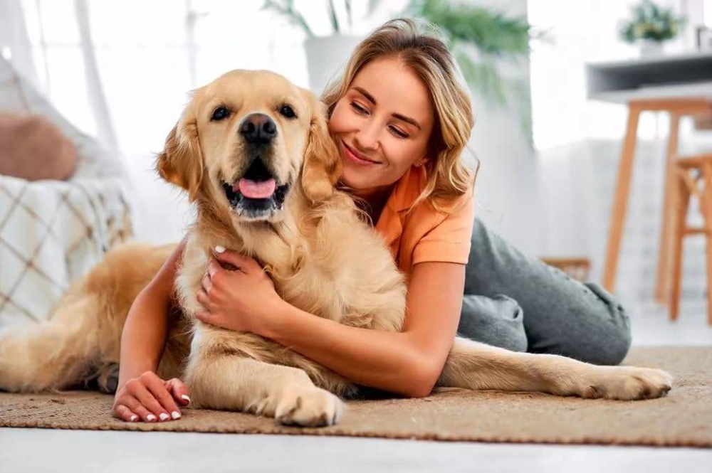 %d9%83%d9%8a%d9%81 %d8%aa%d8%ad%d9%85%d9%8a %d8%ad%d9%8a%d9%88%d8%a7%d9%86%d9%83 %d8%a7%d9%84%d8%a3%d9%84%d9%8a%d9%81 %d9%85%d9%86 %d8%a7%d9%84%d8%b3%d9%83%d8%aa%d8%a7%d8%aa %d8%a7%d9%84