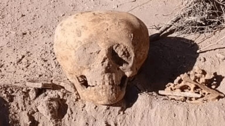 %d8%b4%d8%a8%d9%8a%d9%87%d8%a9 %d8%a8%d9%80 %d8%b1%d8%ac%d8%a7%d9%84 %d8%a7%d9%84%d9%86%d9%85%d9%84 %d9%88%d8%a7%d9%84%d9%81%d8%b6%d8%a7%d8%a6%d9%8a%d9%8a%d9%86 %d8%a7%d9%84%d8%b9%d8%ab%d9%88