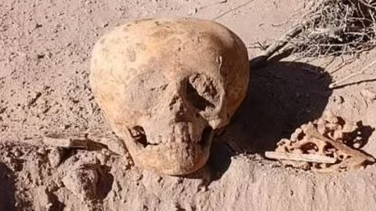 %d8%b4%d8%a8%d9%8a%d9%87%d8%a9 %d8%a8%d9%80 %d8%b1%d8%ac%d8%a7%d9%84 %d8%a7%d9%84%d9%86%d9%85%d9%84 %d9%88%d8%a7%d9%84%d9%81%d8%b6%d8%a7%d8%a6%d9%8a%d9%8a%d9%86 %d8%a7%d9%84%d8%b9%d8%ab%d9%88