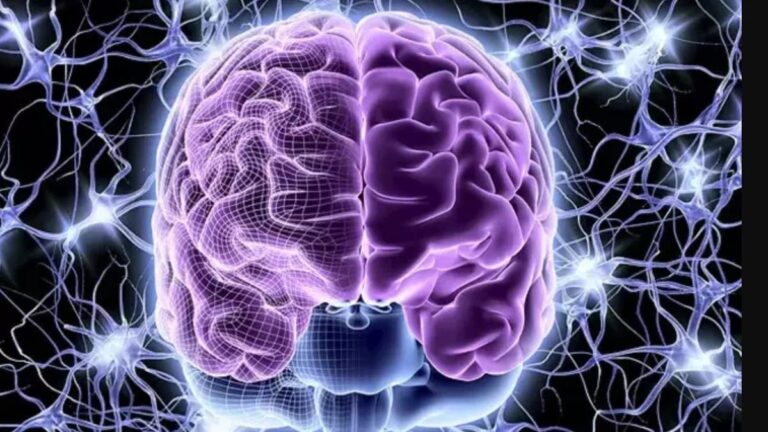 %d8%b9%d9%84%d9%85%d8%a7%d8%a1 %d9%8a%d8%b3%d8%aa%d9%83%d8%b4%d9%81%d9%88%d9%86 %d8%a7%d9%84%d9%85%d9%86%d8%b7%d9%82%d8%a9 %d8%a7%d9%84%d9%85%d8%b3%d8%a4%d9%88%d9%84%d8%a9 %d8%b9%d9%86 %d8%a7%d9%84