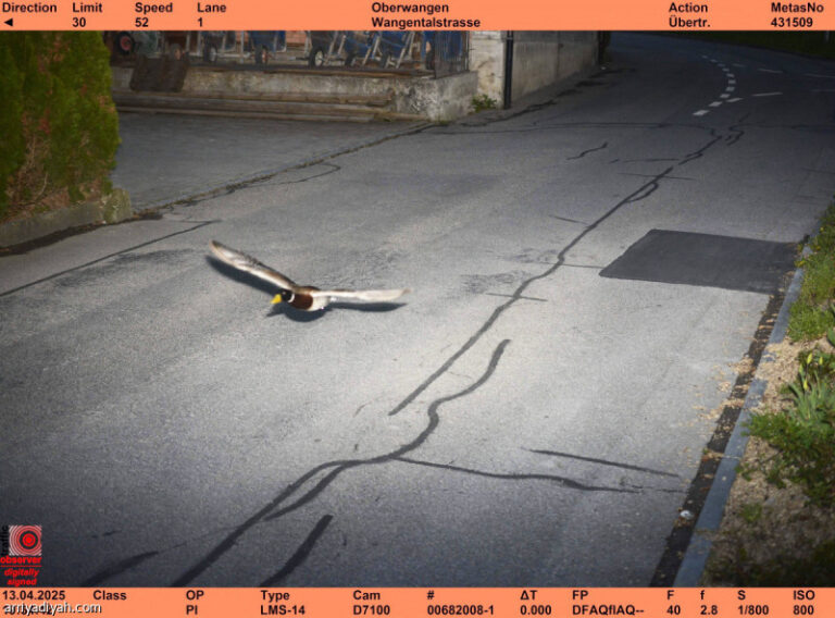 %d8%b6%d8%a8%d8%b7 %d8%a8%d8%b7%d8%a9 %d8%aa%d8%ac%d8%a7%d9%88%d8%b2%d8%aa %d8%a7%d9%84%d8%b3%d8%b1%d8%b9%d8%a9 %d8%a7%d9%84%d9%82%d8%a7%d9%86%d9%88%d9%86%d9%8a%d8%a9