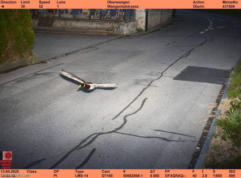 %d8%b6%d8%a8%d8%b7 %d8%a8%d8%b7%d8%a9 %d8%aa%d8%ac%d8%a7%d9%88%d8%b2%d8%aa %d8%a7%d9%84%d8%b3%d8%b1%d8%b9%d8%a9 %d8%a7%d9%84%d9%82%d8%a7%d9%86%d9%88%d9%86%d9%8a%d8%a9