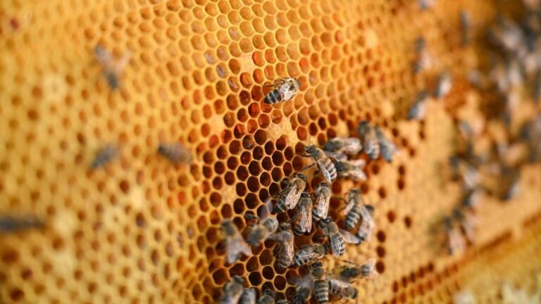 %d8%a7%d9%84%d8%a8%d9%8a%d8%a6%d8%a9 %d8%a5%d9%86%d8%b4%d8%a7%d8%a1 7 %d9%85%d8%ad%d8%b7%d8%a7%d8%aa %d9%84%d8%aa%d8%b1%d8%a8%d9%8a%d8%a9 %d9%85%d9%84%d9%83%d8%a7%d8%aa %d8%a7%d9%84%d9%86%d8%ad