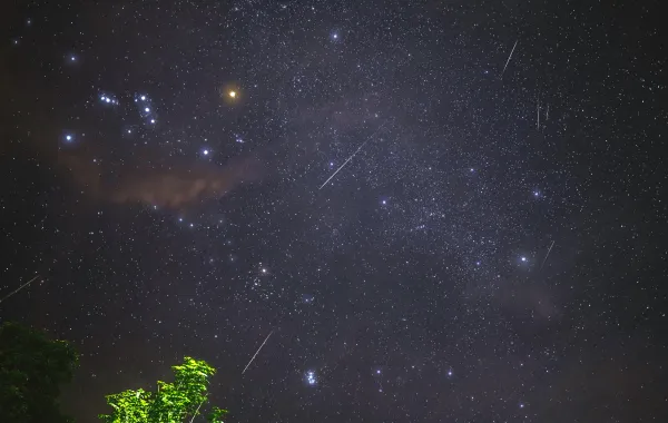 %d8%b2%d8%ae%d8%a7%d8%aa %d8%b4%d9%87%d8%a8 %d8%a7%d9%84%d8%af%d9%84%d9%88%d9%8a%d8%a7%d8%aa %d8%b8%d8%a7%d9%87%d8%b1%d8%a9 %d9%81%d9%84%d9%83%d9%8a%d8%a9 %d8%aa%d8%b2%d9%8a%d9%86 %d8%b3%d9%85%d8%a7