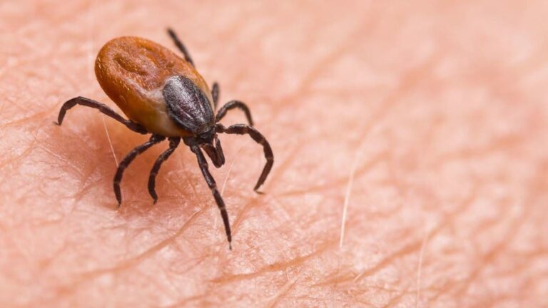 %d8%a8%d8%b3%d8%a8%d8%a8 %d8%a7%d9%84%d9%82%d8%b1%d8%a7%d8%af %d8%ad%d8%b3%d8%a7%d8%b3%d9%8a%d8%a9 %d8%b7%d8%b9%d8%a7%d9%85 %d8%aa%d9%87%d8%af%d8%af %d8%b3%d9%83%d8%a7%d9%86 %d8%a7%d9%84%d8%b6%d9%88