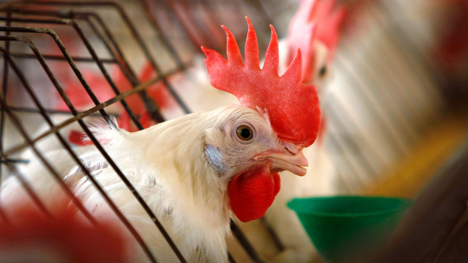 %d8%a3%d8%a8%d8%b1%d8%b2%d9%87%d8%a7 %d8%a7%d9%84%d8%af%d8%ac%d8%a7%d8%ac %d9%88%d8%a7%d9%84%d8%b7%d8%a7%d9%82%d8%a9 %d8%a7%d9%84%d9%86%d8%b8%d9%8a%d9%81%d8%a9 5 %d8%b3%d9%84%d8%b9 %d8%aa%d8%b3