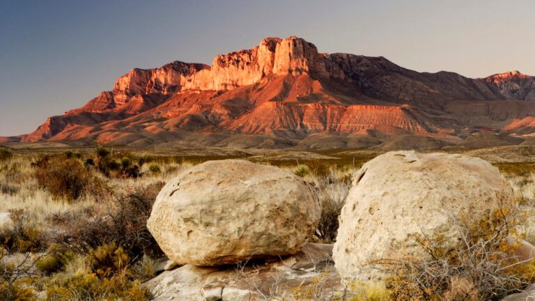 %d9%83%d9%86%d8%b2 %d8%a8%d9%82%d9%8a%d9%85%d8%a9 100 %d9%85%d9%84%d9%8a%d8%a7%d8%b1 %d8%af%d9%88%d9%84%d8%a7%d8%b1 %d8%aa%d8%ad%d8%aa %d9%87%d8%b0%d9%87 %d8%a7%d9%84%d8%b5%d8%ad%d8%a7%d8%b1%d9%8a