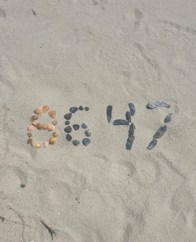 8647 %d9%85%d8%af%d9%8a%d8%b1 %d8%a7%d9%84%d9%80fbi %d8%a7%d9%84%d8%b3%d8%a7%d8%a8%d9%82 %d9%8a%d9%86%d8%b4%d8%b1 %d8%b4%d9%81%d8%b1%d8%a9 %d8%b3%d8%b1%d9%8a%d8%a9