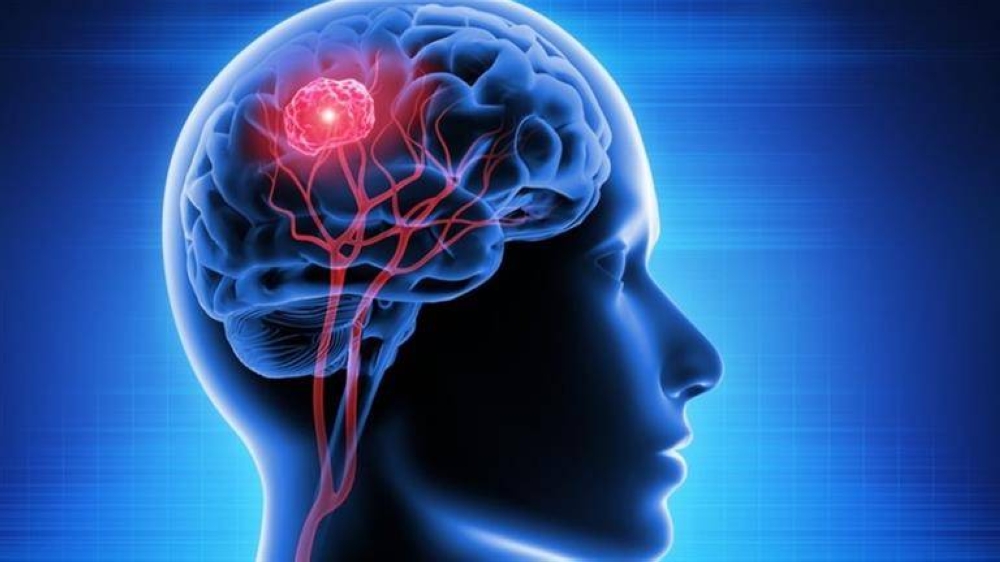 %d9%81%d9%86%d8%a7%d9%86%d8%a9 %d9%87%d9%88%d9%84%d9%8a%d9%88%d9%88%d8%af %d8%aa%d9%88%d8%a7%d8%ac%d9%87 %d8%a7%d9%84%d9%85%d9%88%d8%aa %d8%aa%d8%b4%d8%a7%d8%b1%d9%84%d9%8a %d8%aa%d8%aa%d8%ad%d8%af